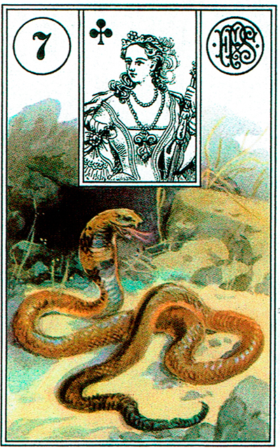 La Serpiente Lenormand