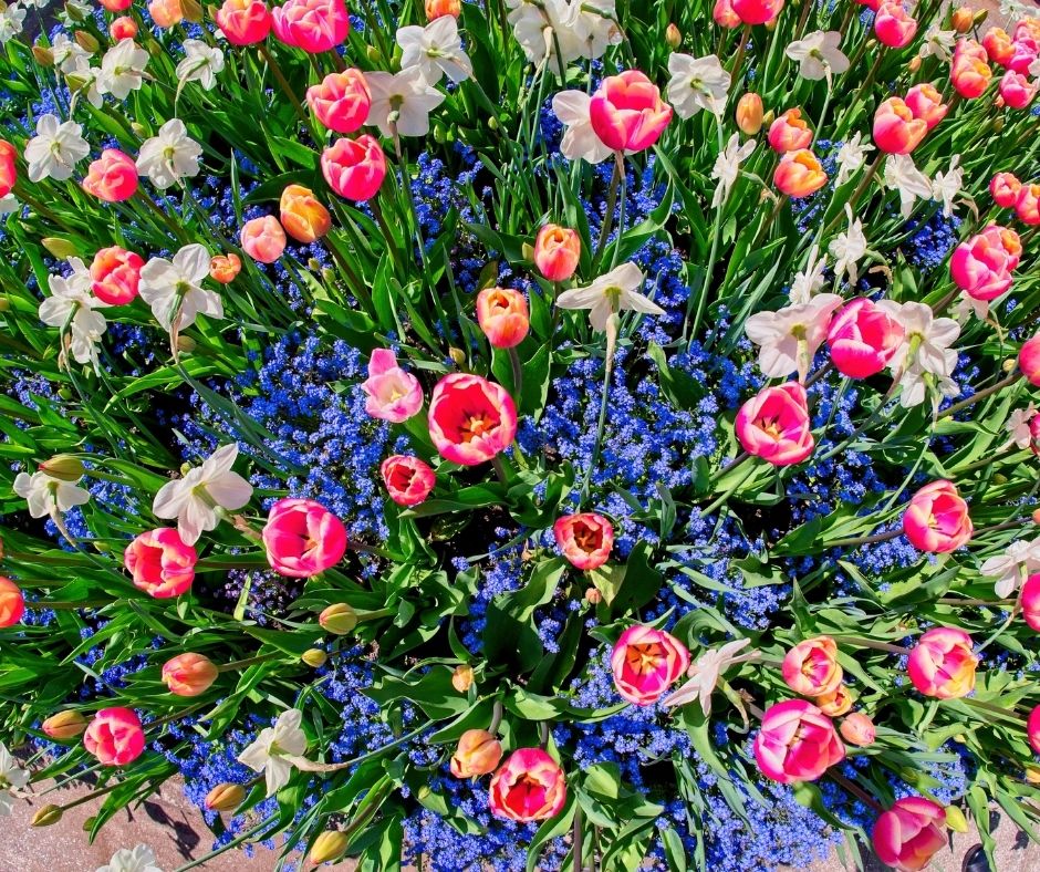 equinoccio de primavera